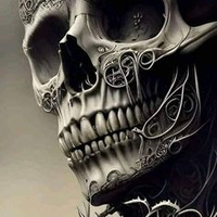 Skull  M 